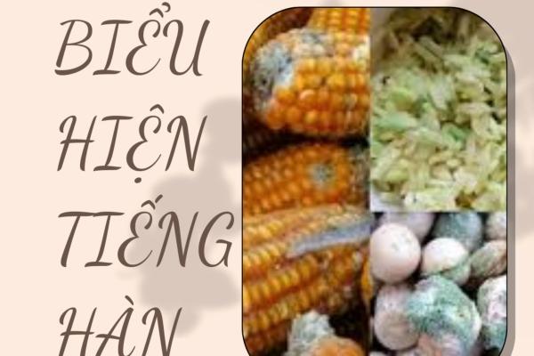 BIỂU HIỆN “ HỎNG, MỐC, BỊ THÂM’ TRONG TIẾNG HÀN